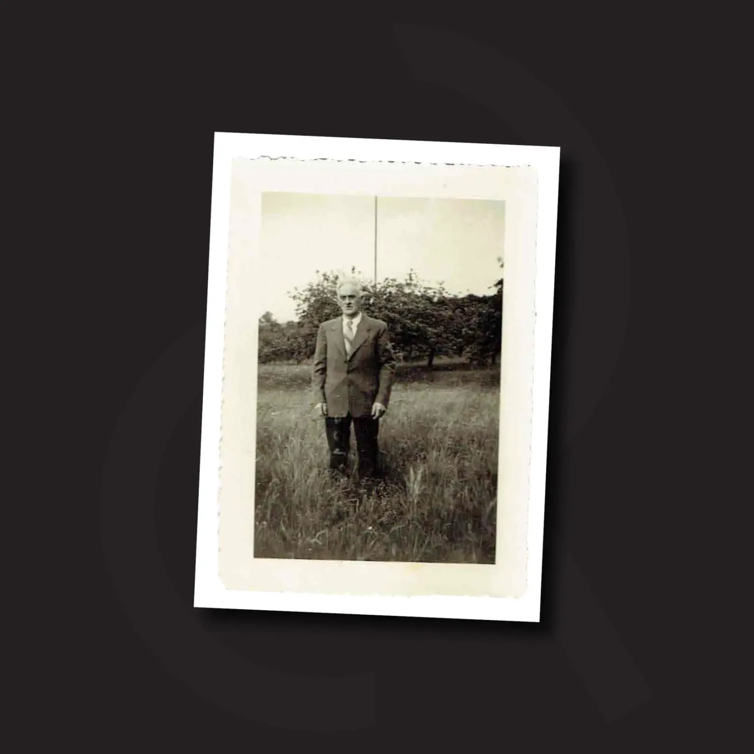 POLAROID theodule